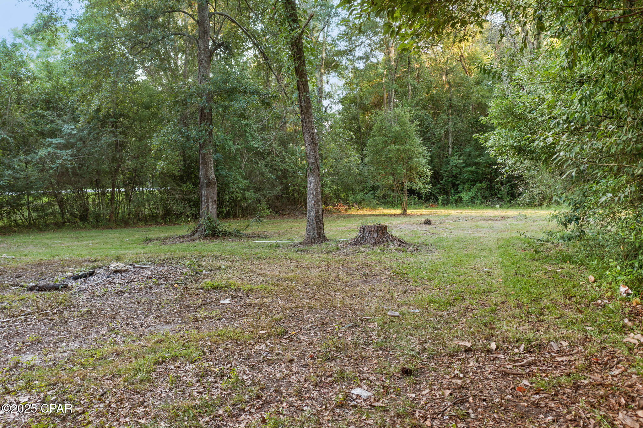 1001 White Avenue, Graceville, Florida image 19