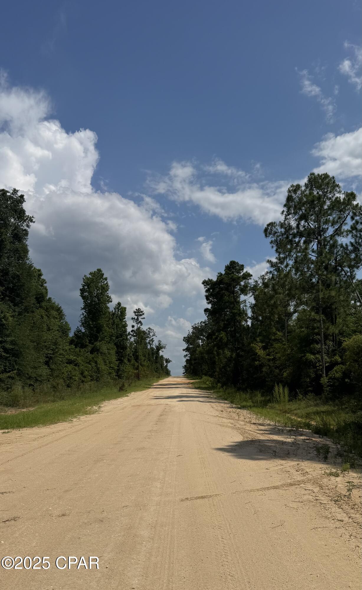 Edison Avenue, Alford, Florida image 4