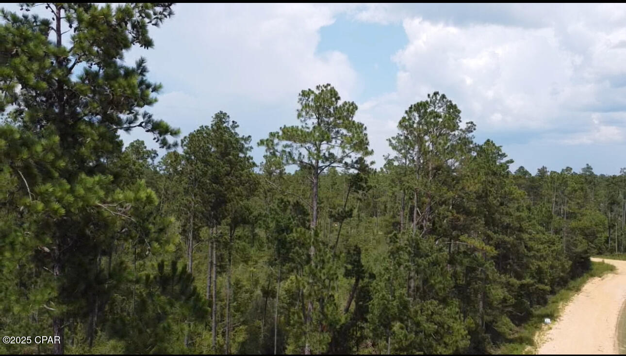 Black Hills Street, Alford, Florida image 1