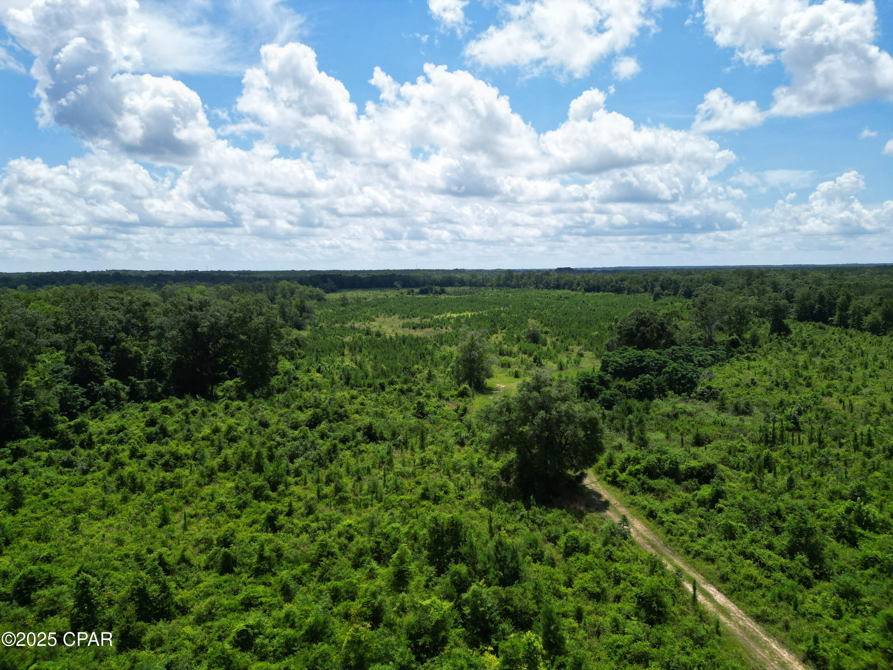 0001 Eddie Blake Road, Quincy, Florida image 6
