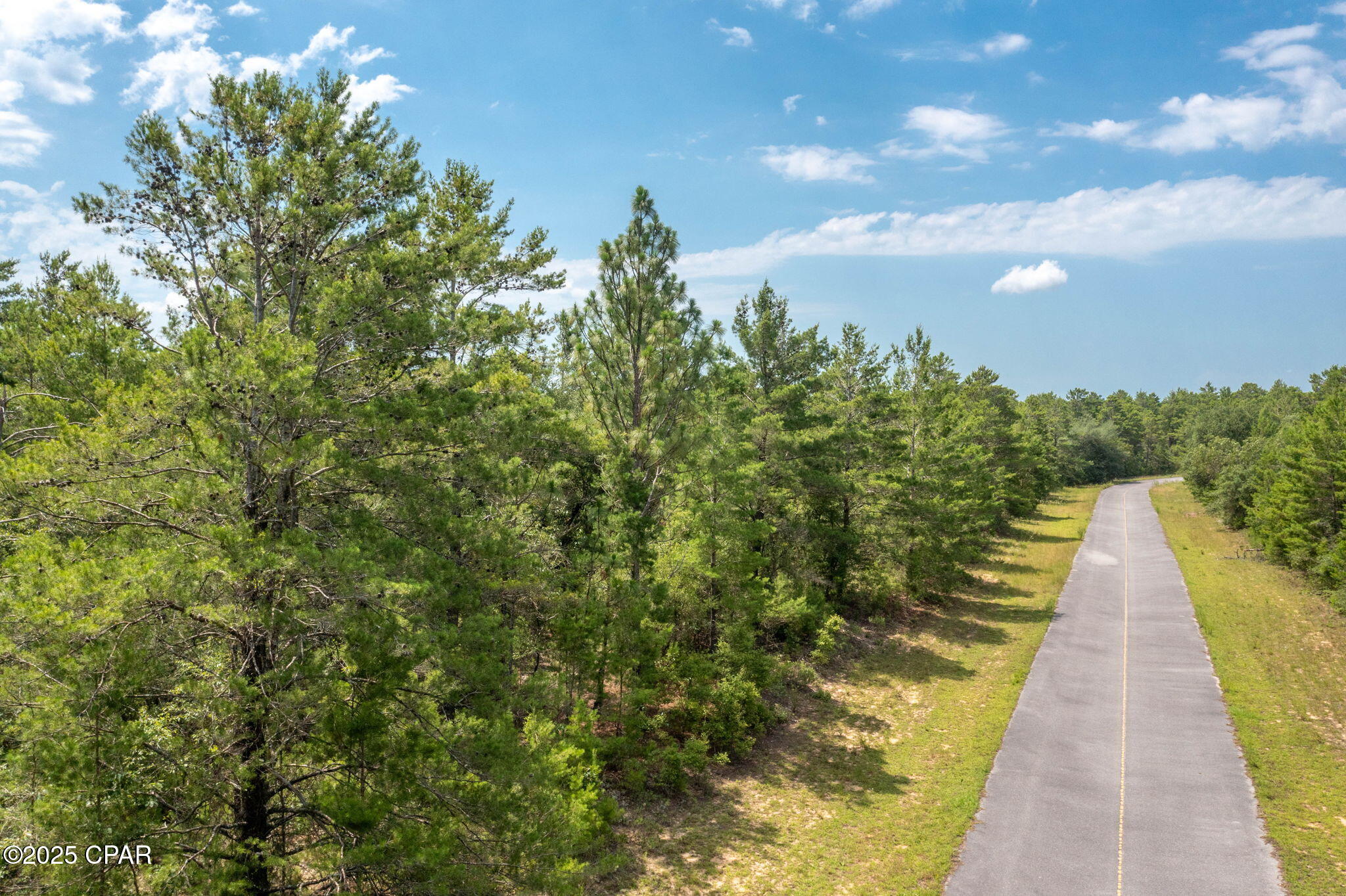 XXX Ventura Drive, Chipley, Florida image 3