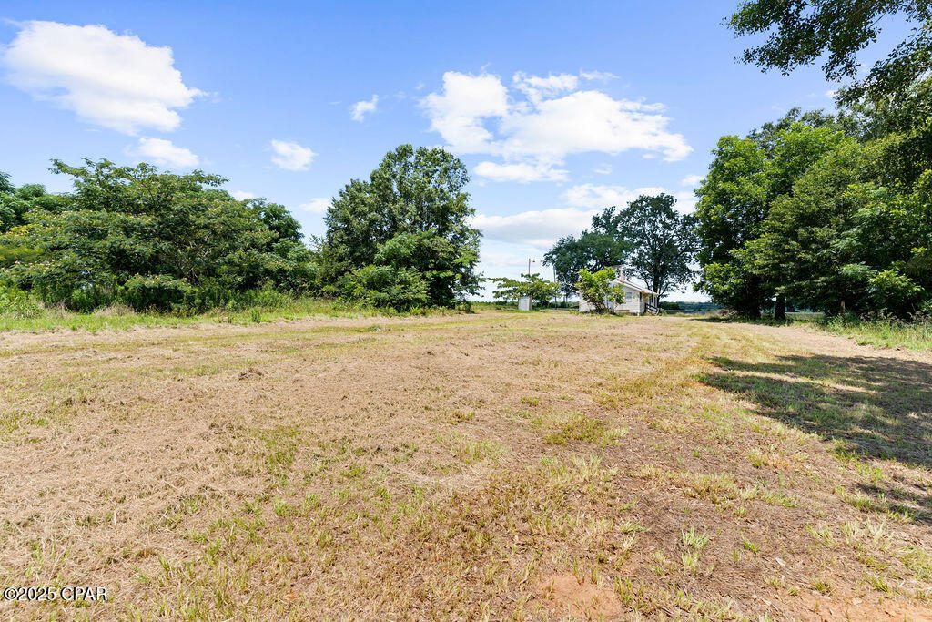 5786 Highway 77, Graceville, Florida image 11