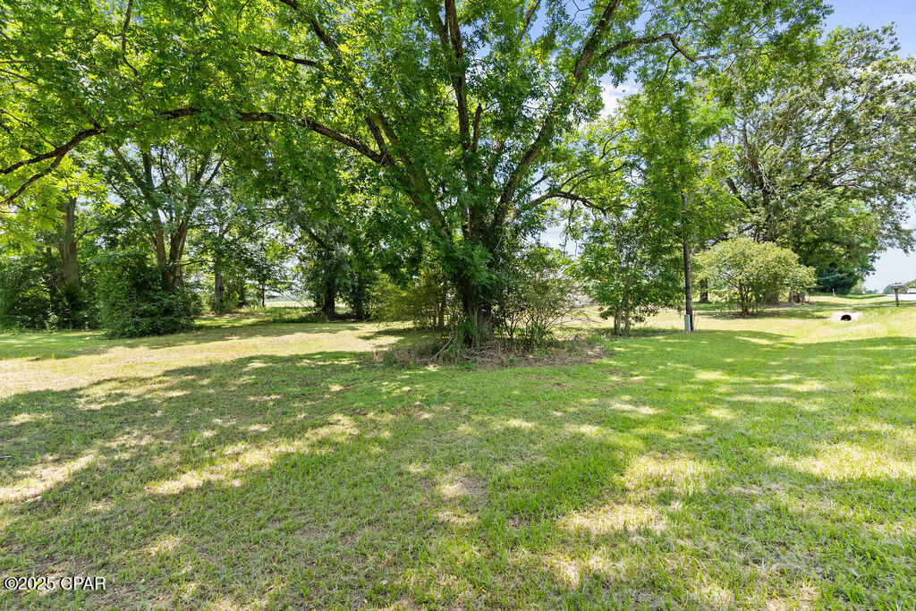 5786 Highway 77, Graceville, Florida image 8
