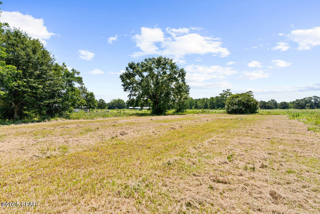 5786 Highway 77, Graceville, Florida image 9