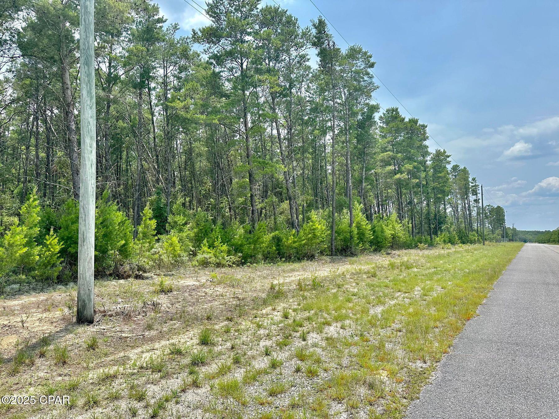 Lots 3 & 4 Lake Ridge Road, Chipley, Florida image 7