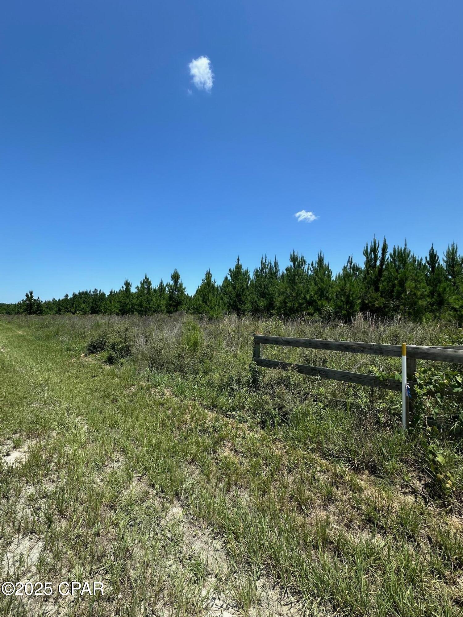 000 NW Camp Head Road, Altha, Florida image 5