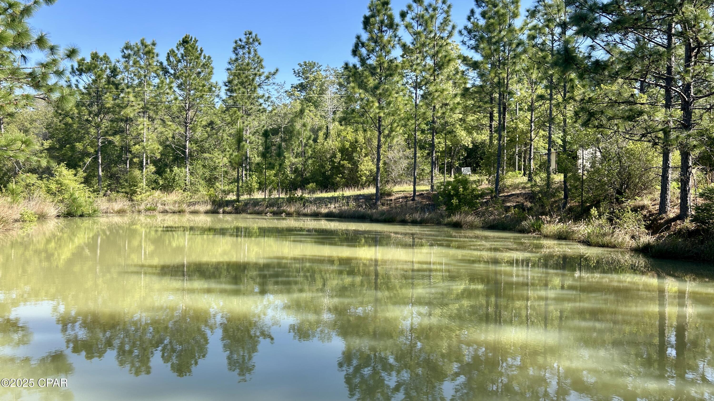 Listing photo id 21 for 4264 Cleveland Road