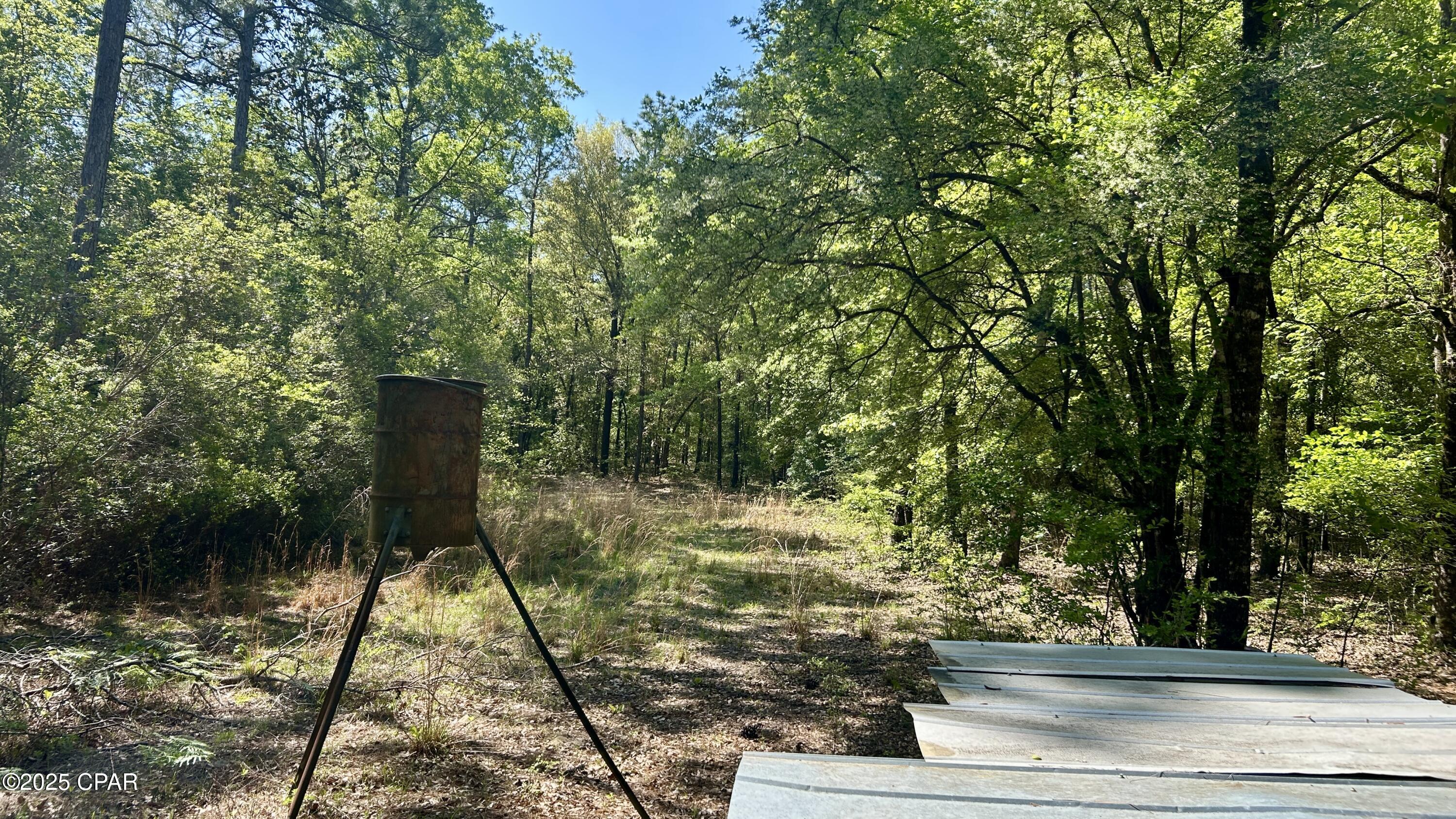 Listing photo id 55 for 4264 Cleveland Road