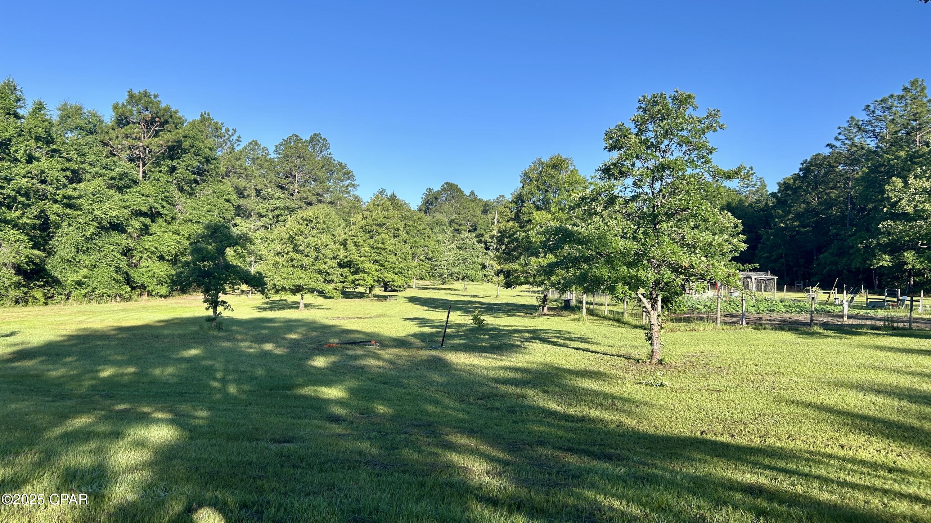 4264 Cleveland Road, Milton, Florida image 7