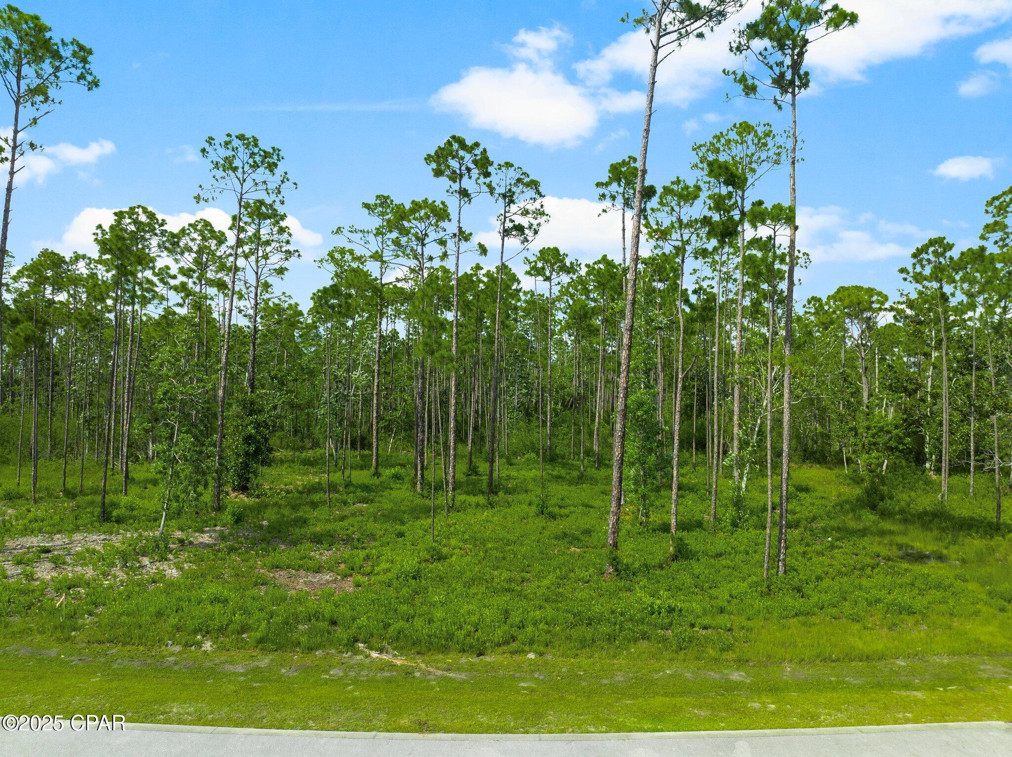 927 Watermark Way, Panama City, Florida image 8