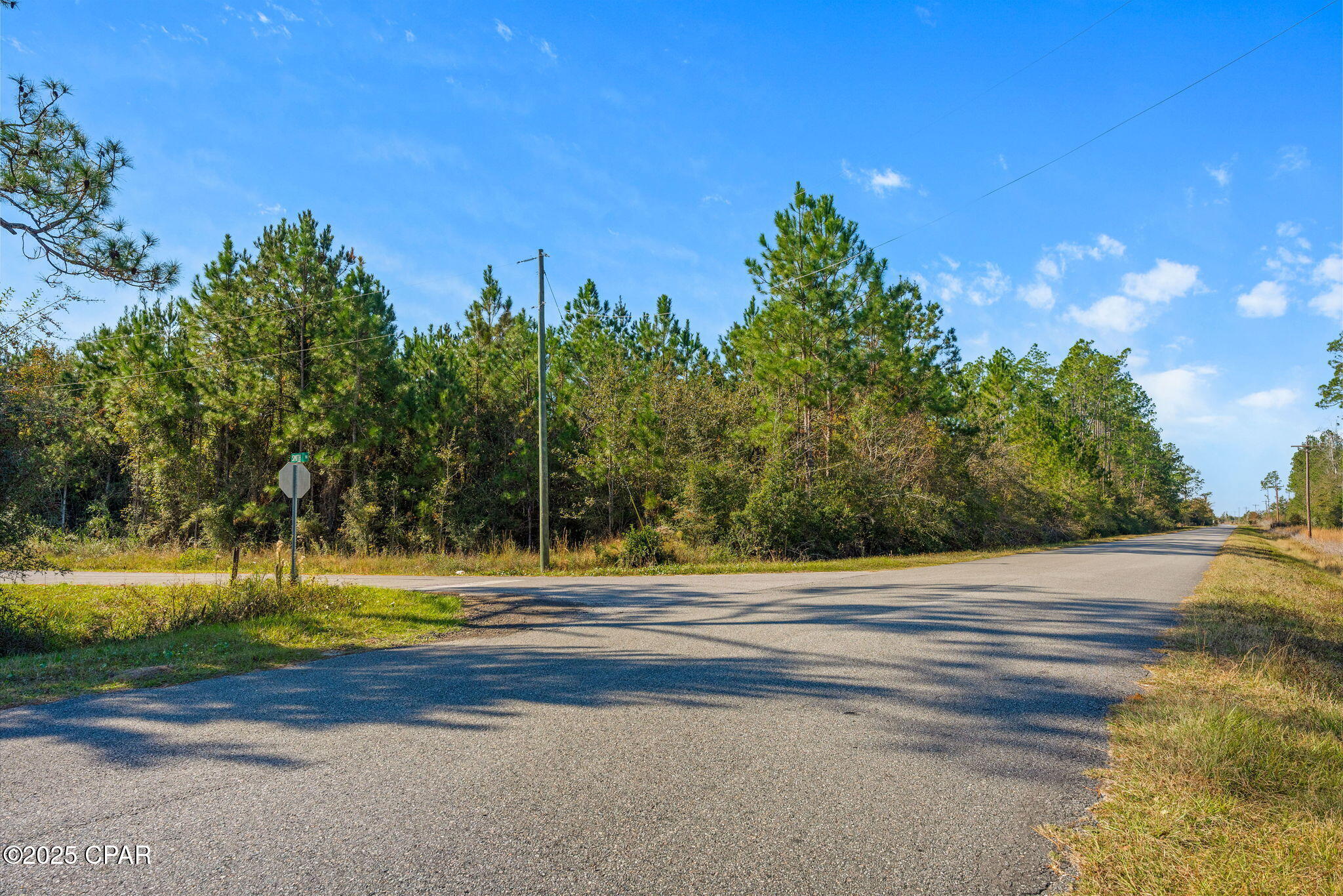 TBD Luke Ford Road, Wewahitchka, Florida image 2
