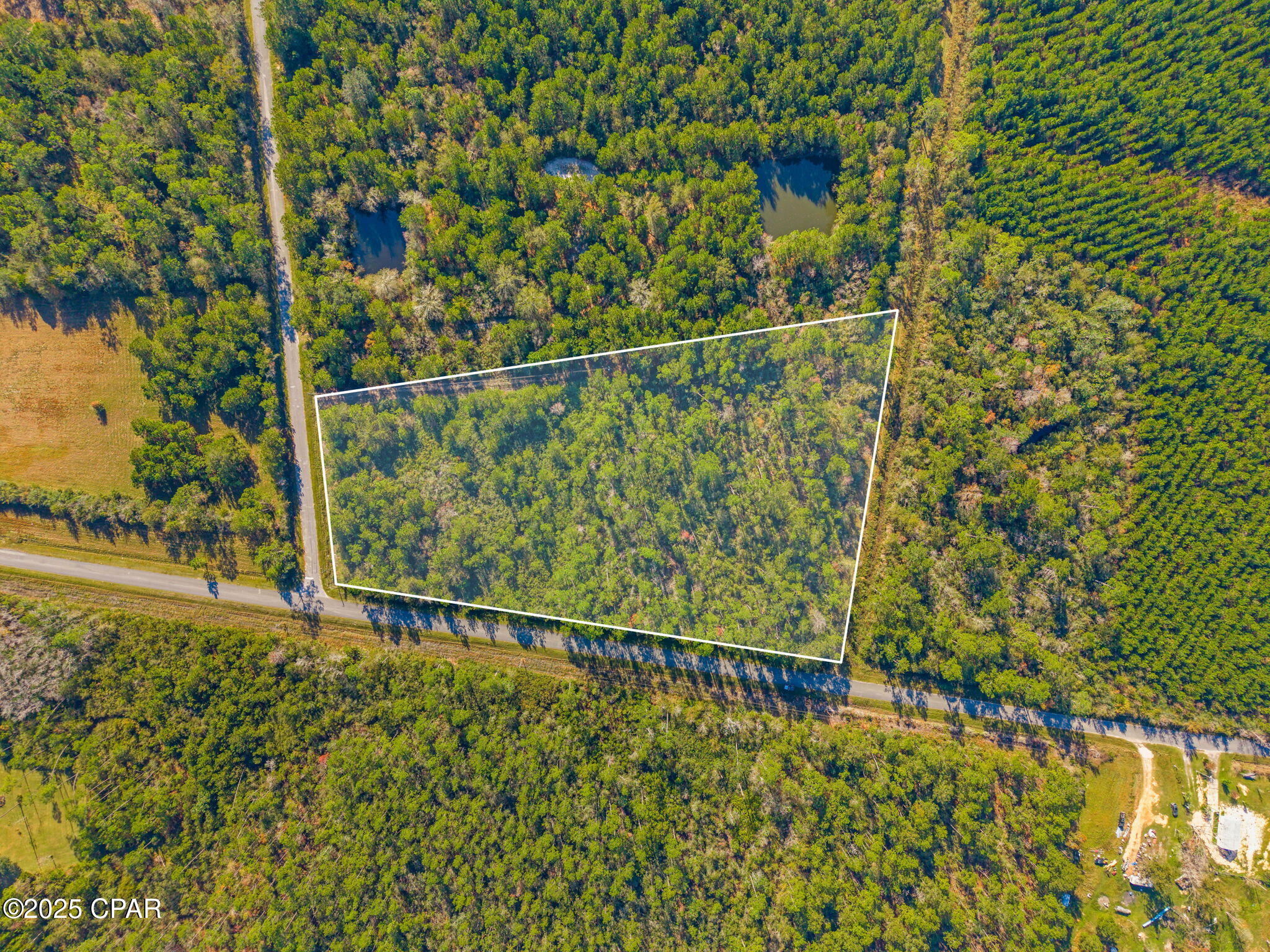 TBD Luke Ford Road, Wewahitchka, Florida image 6