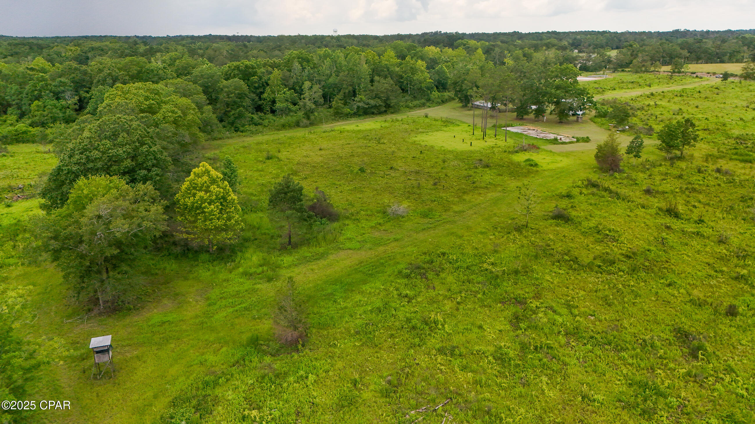 Bush Road, Graceville, Florida image 13
