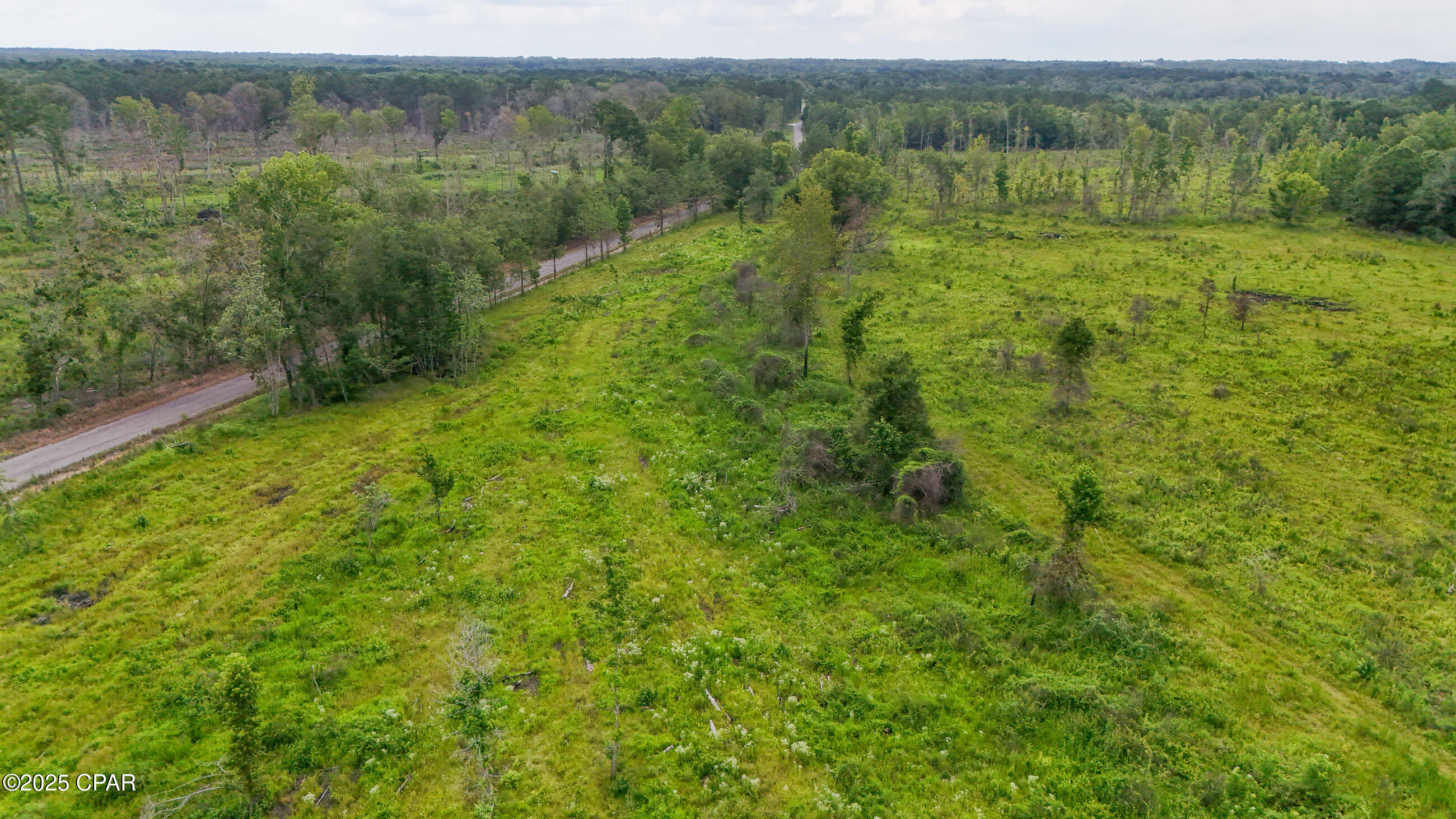 Bush Road, Graceville, Florida image 14