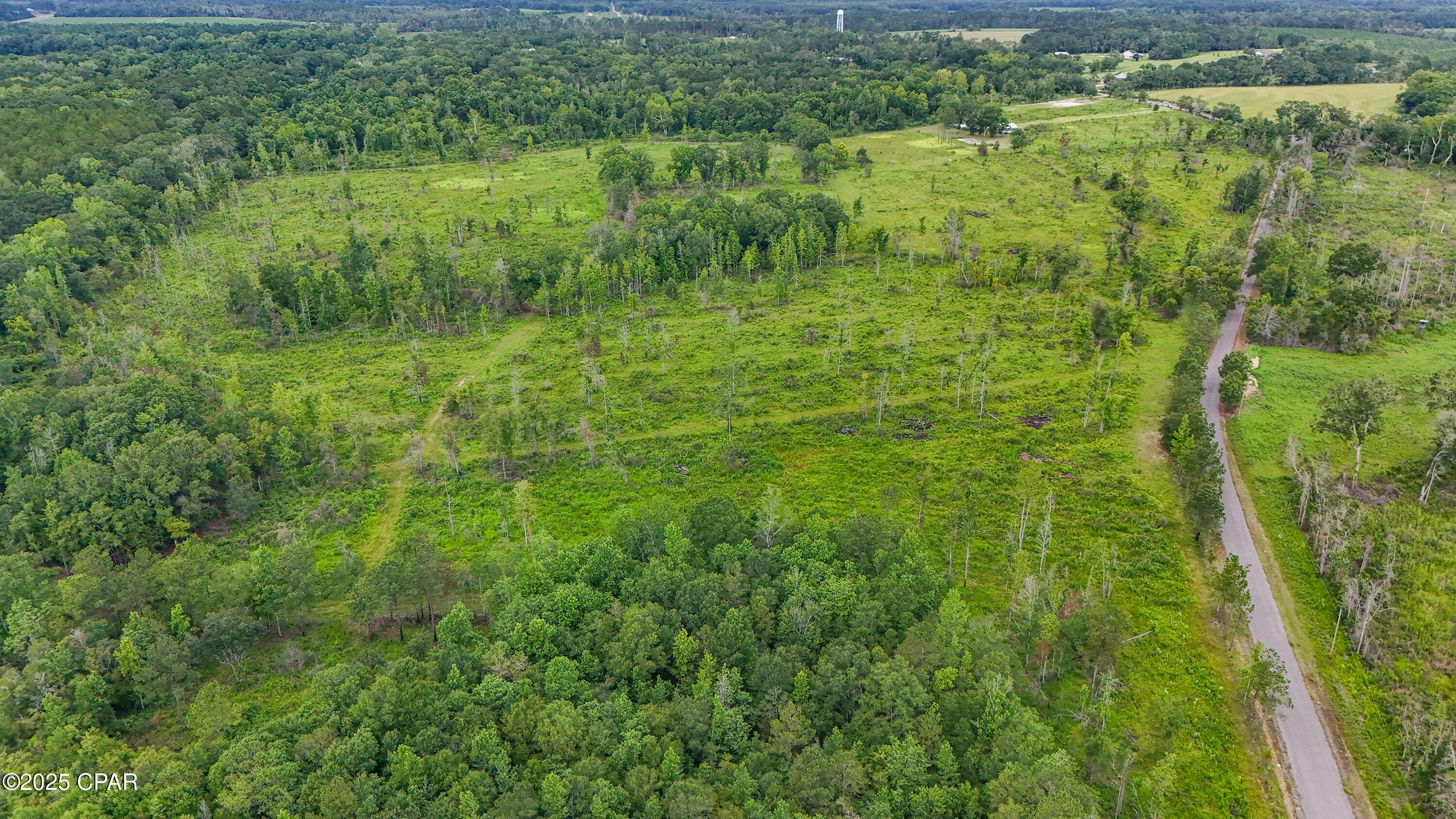 Bush Road, Graceville, Florida image 6