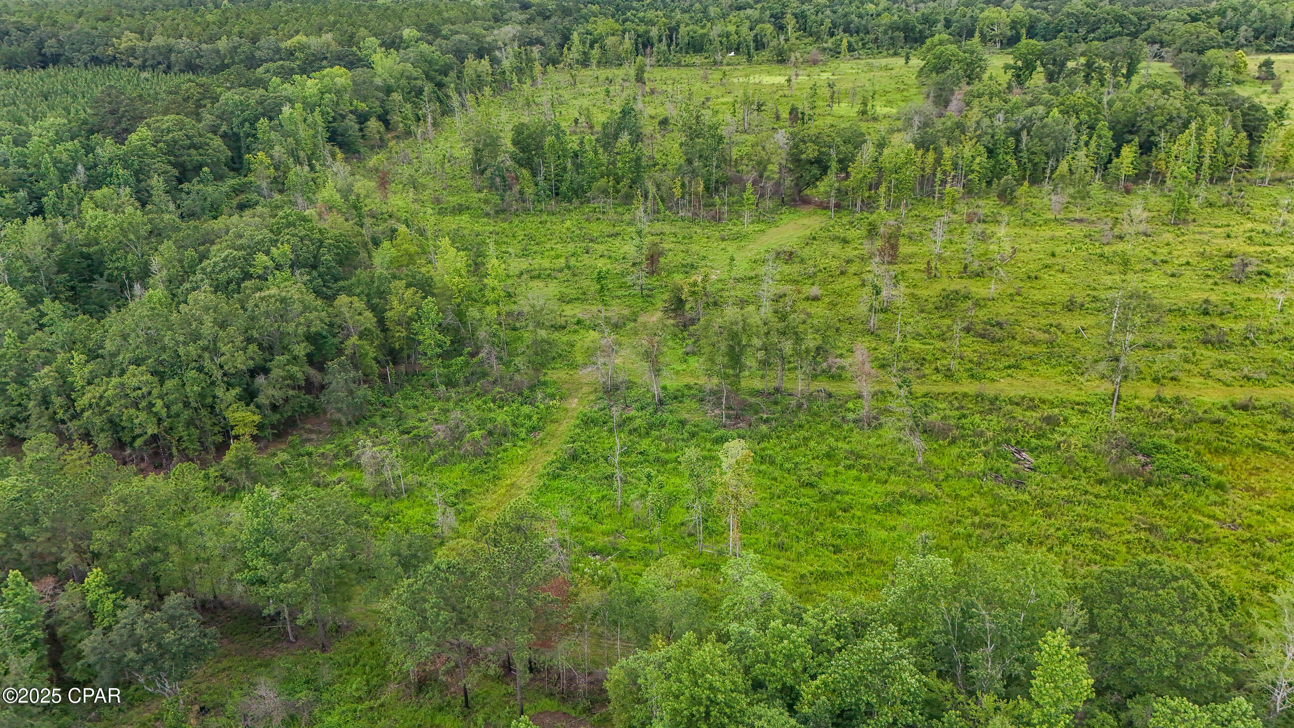 Bush Road, Graceville, Florida image 7