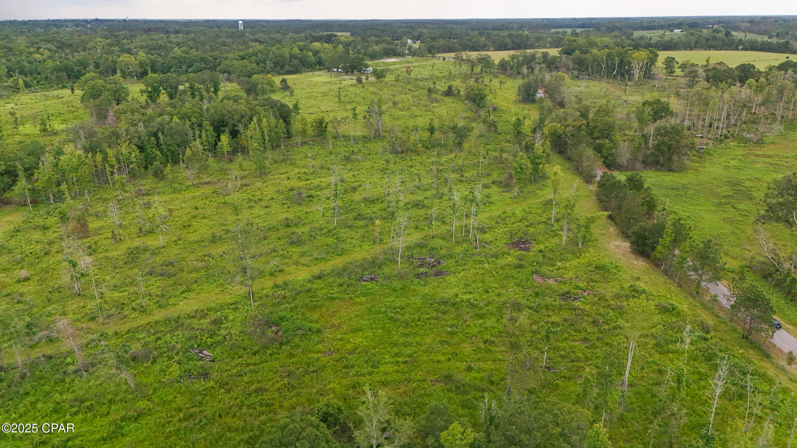 Bush Road, Graceville, Florida image 8