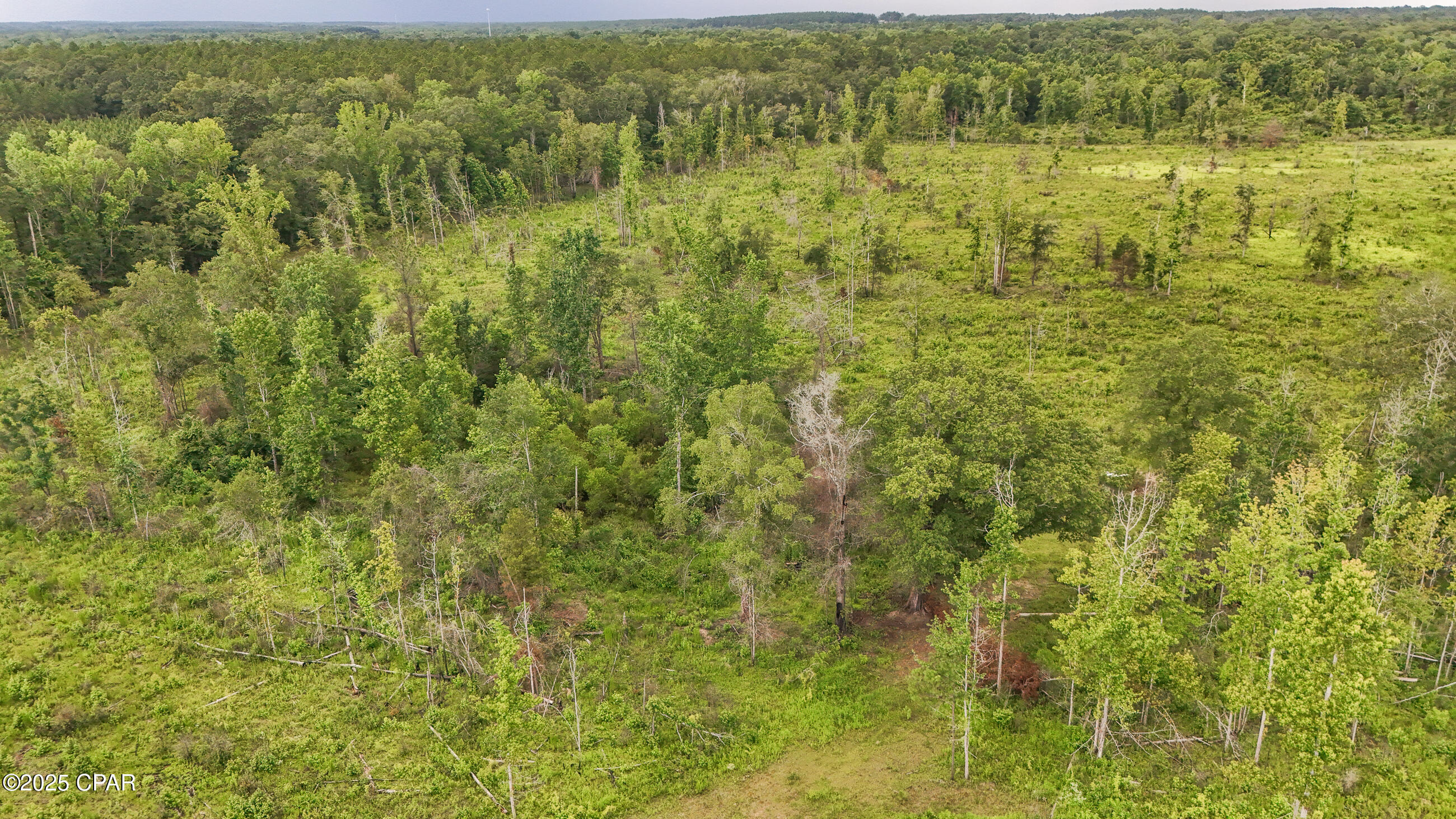 Bush Road, Graceville, Florida image 9