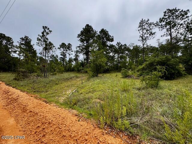 TBD Wildrose Lane, Chipley, Florida image 1