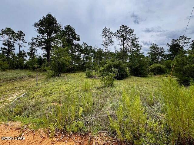 TBD Wildrose Lane, Chipley, Florida image 2