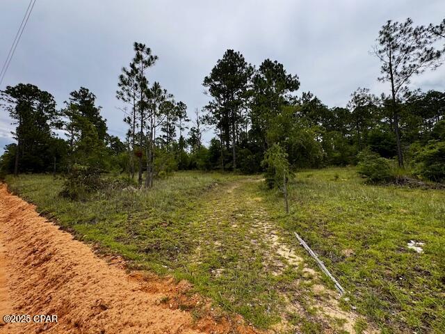 TBD Wildrose Lane, Chipley, Florida image 3