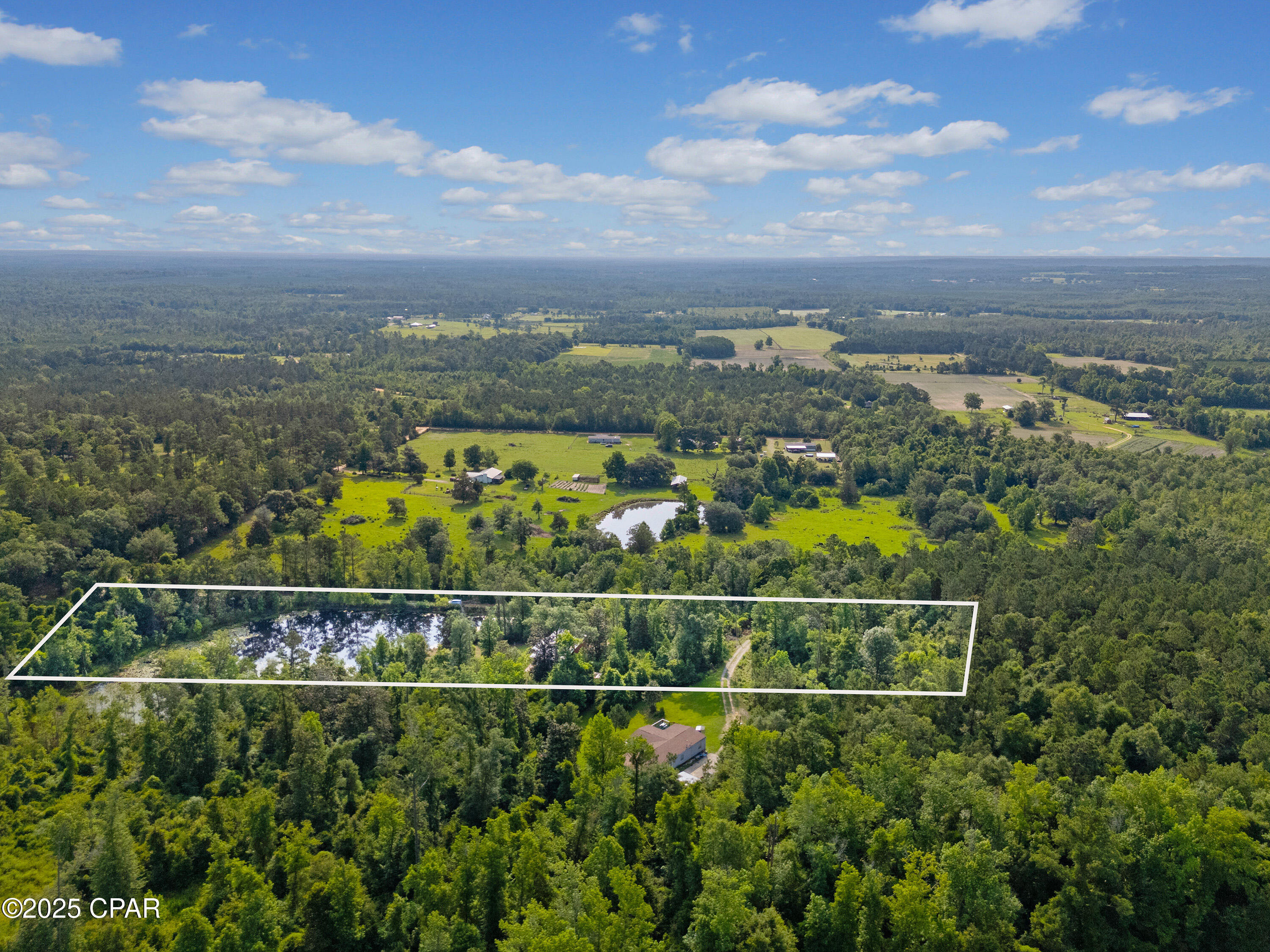 1988 Woodland Road, Cottondale, Florida image 22