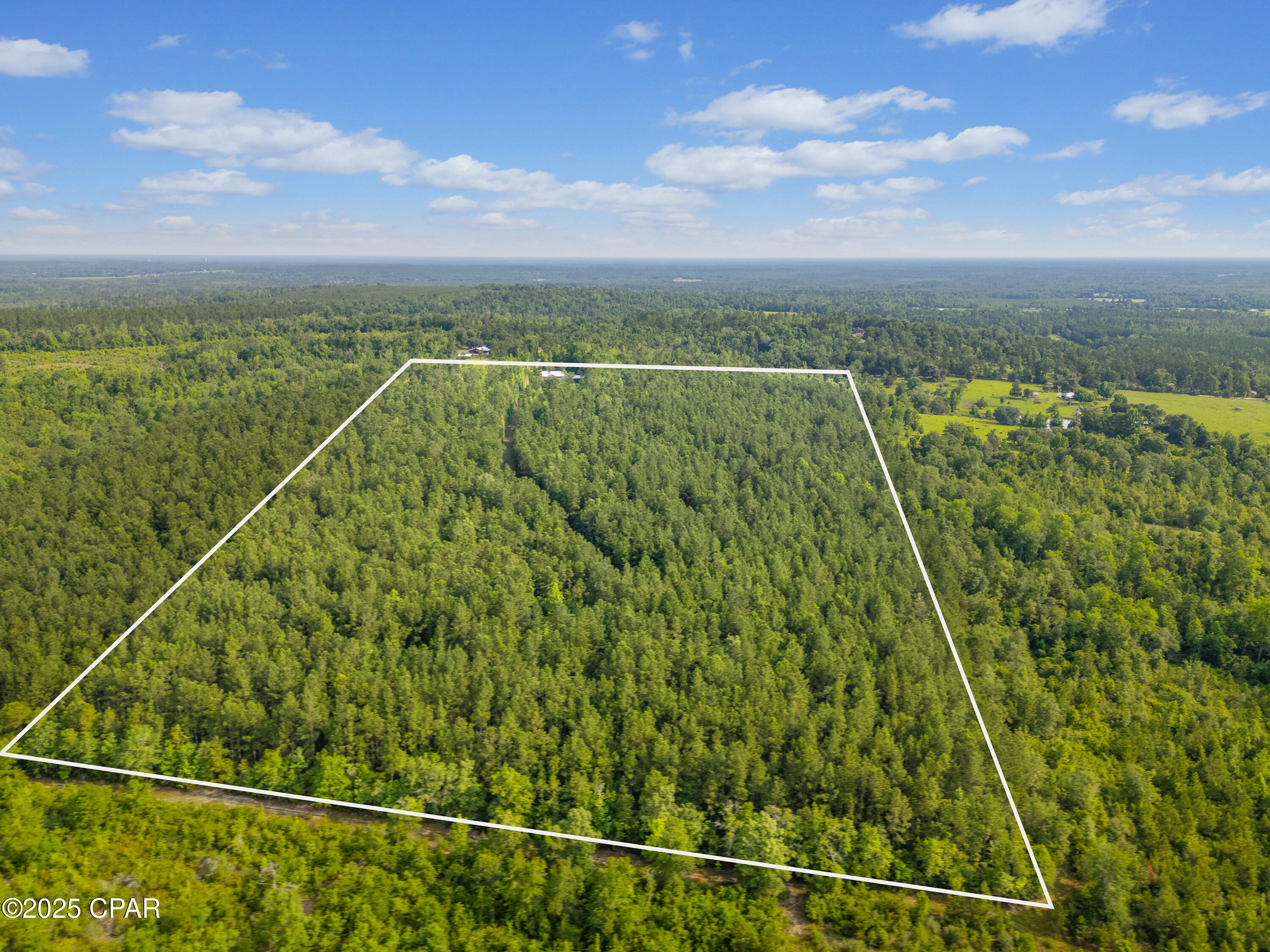 1988 Woodland Road, Cottondale, Florida image 25
