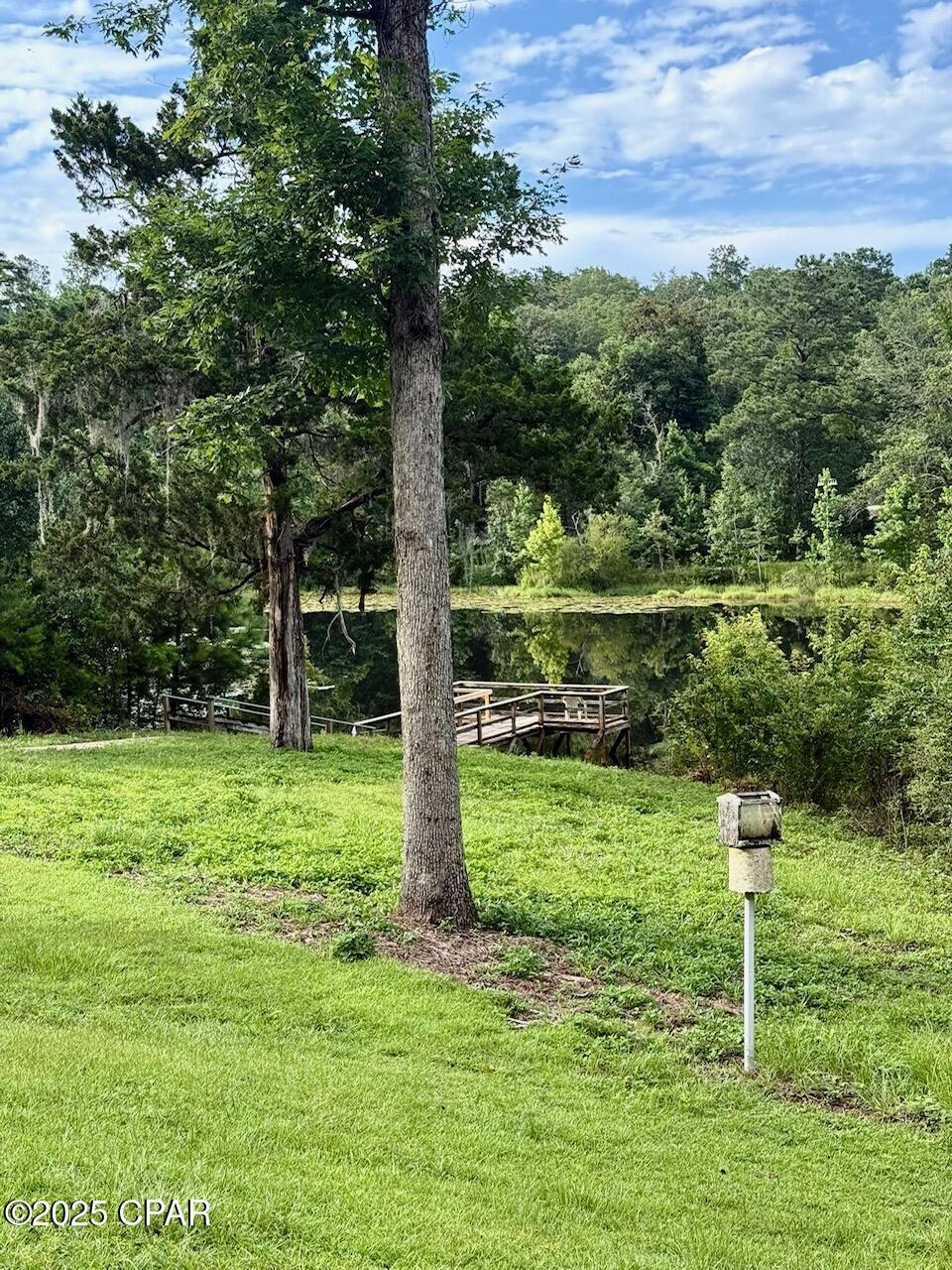 1988 Woodland Road, Cottondale, Florida image 30
