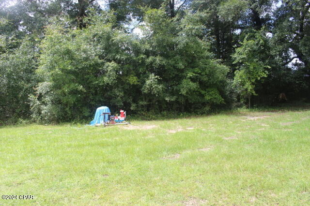 4583 Dickson Road, Greenwood, Florida image 15