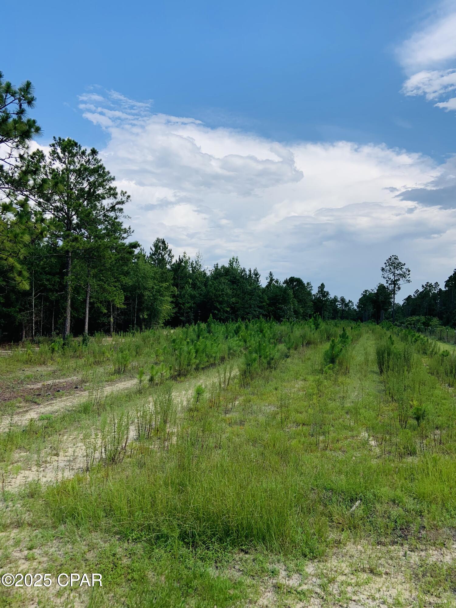 220 Ed Jones Road, Quincy, Florida image 42