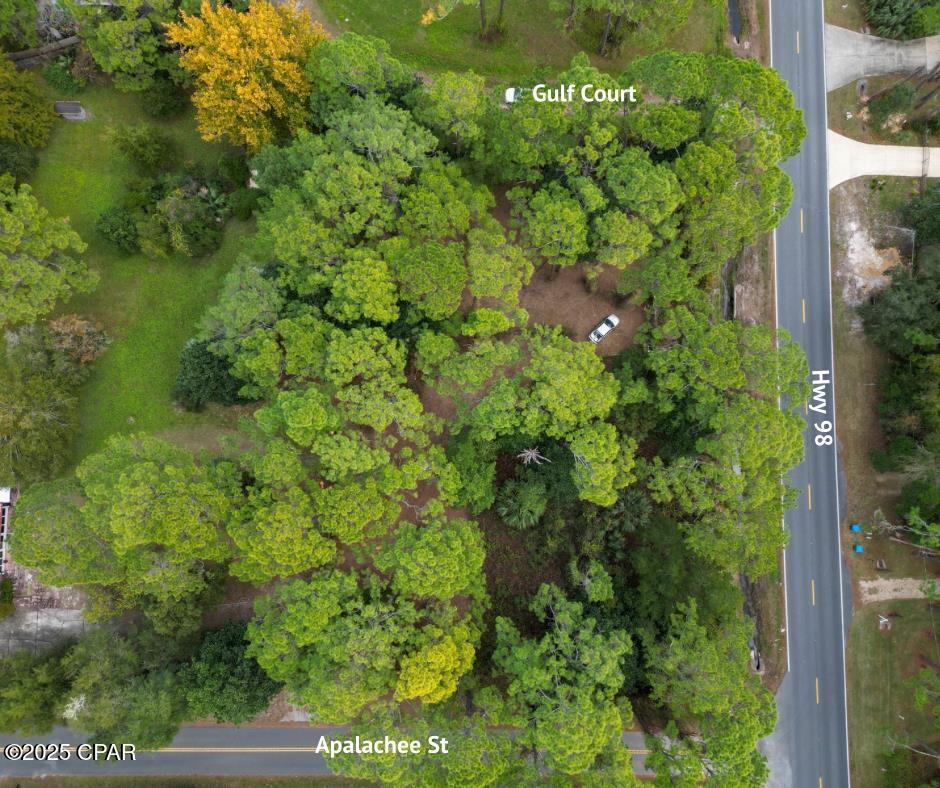 107 Apalachee Street, Lanark Village, Florida image 19