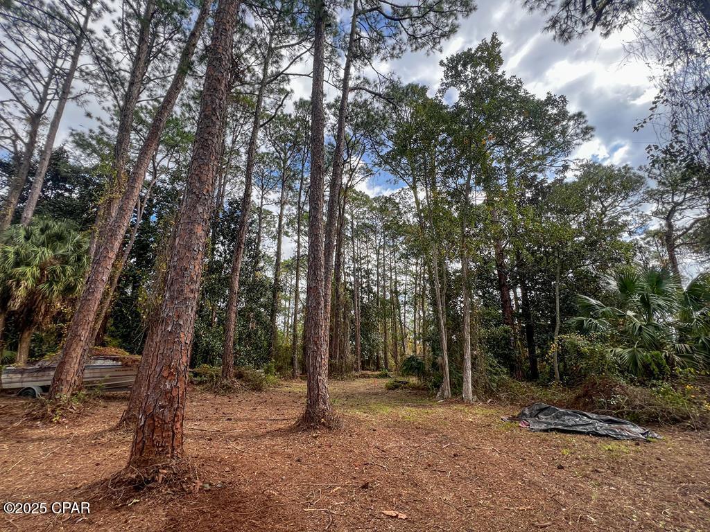107 Apalachee Street, Lanark Village, Florida image 3
