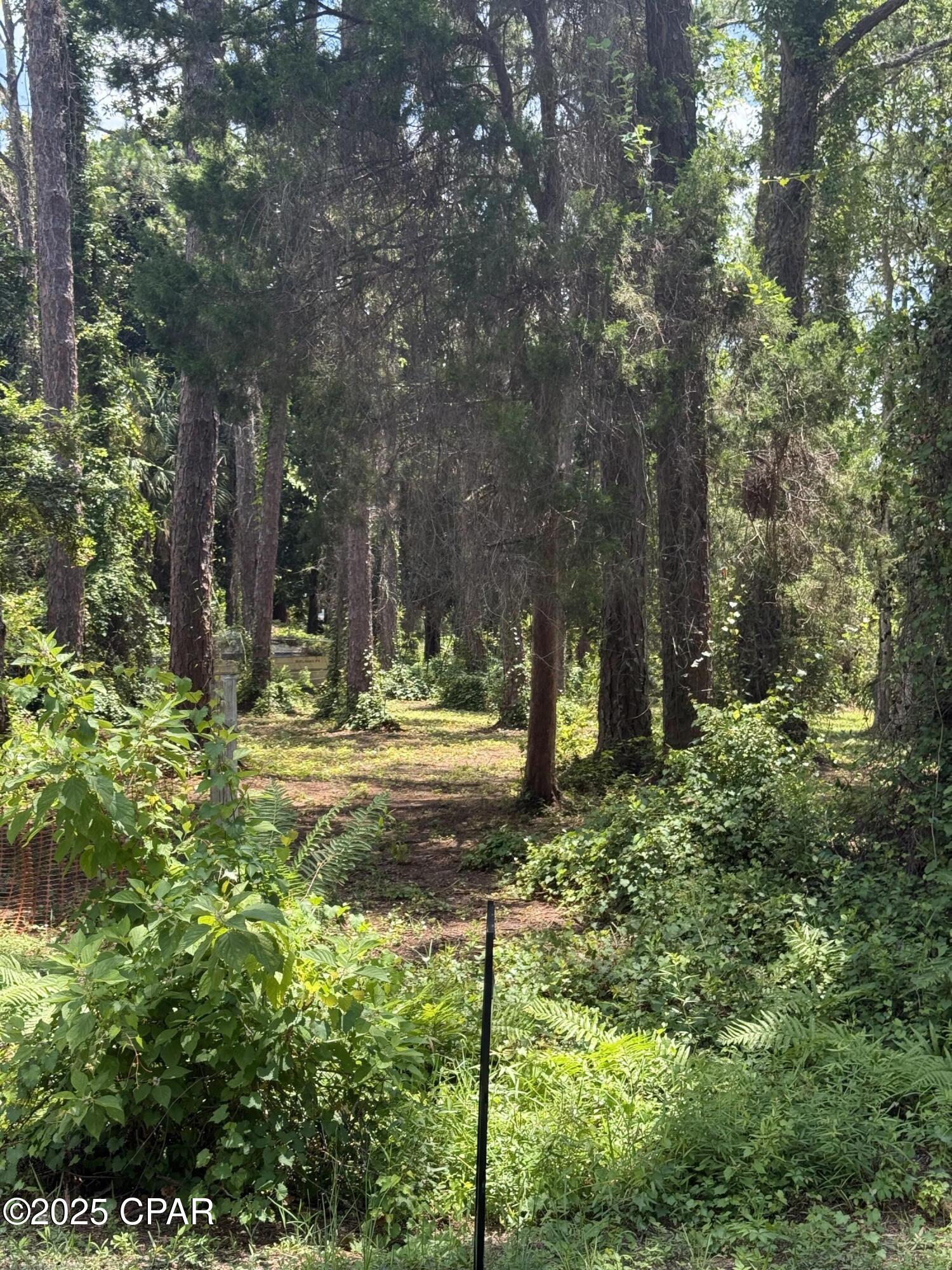 107 Apalachee Street, Lanark Village, Florida image 4