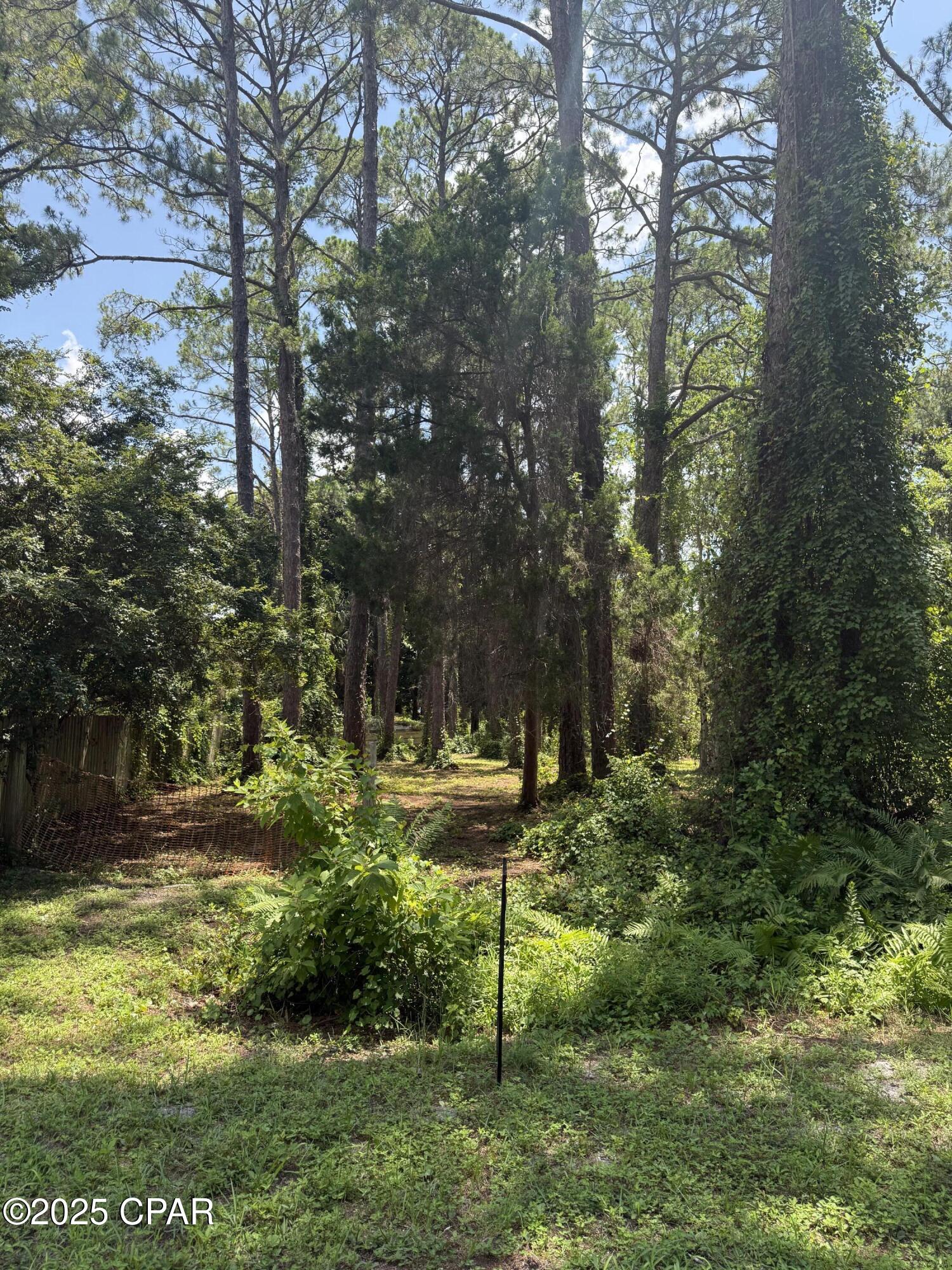 107 Apalachee Street, Lanark Village, Florida image 5