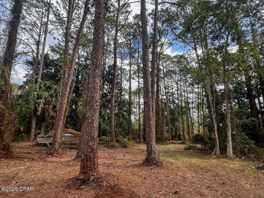 107 Apalachee Street, Lanark Village, Florida image 6