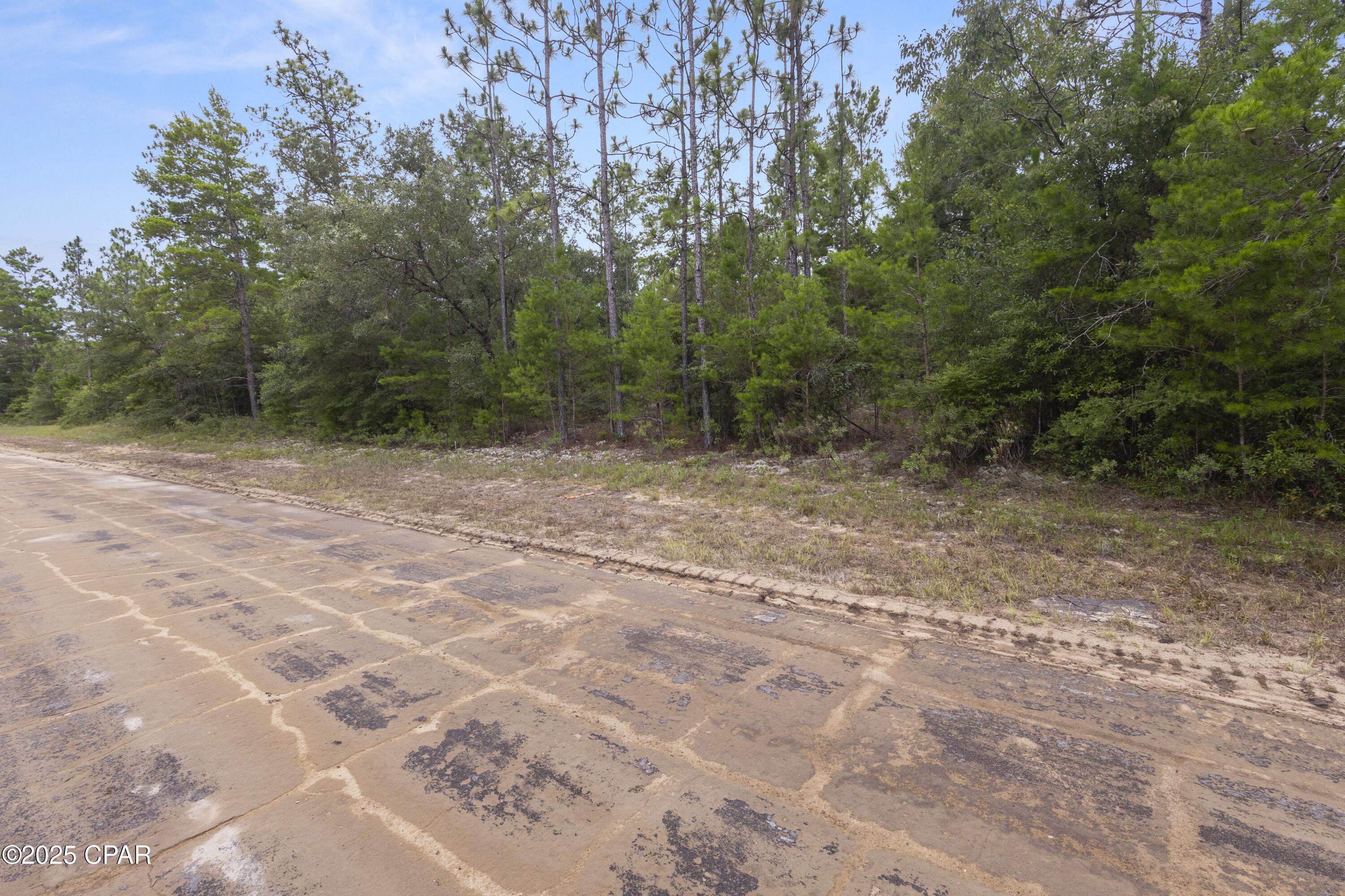 Rockford Drive, Chipley, Florida image 6