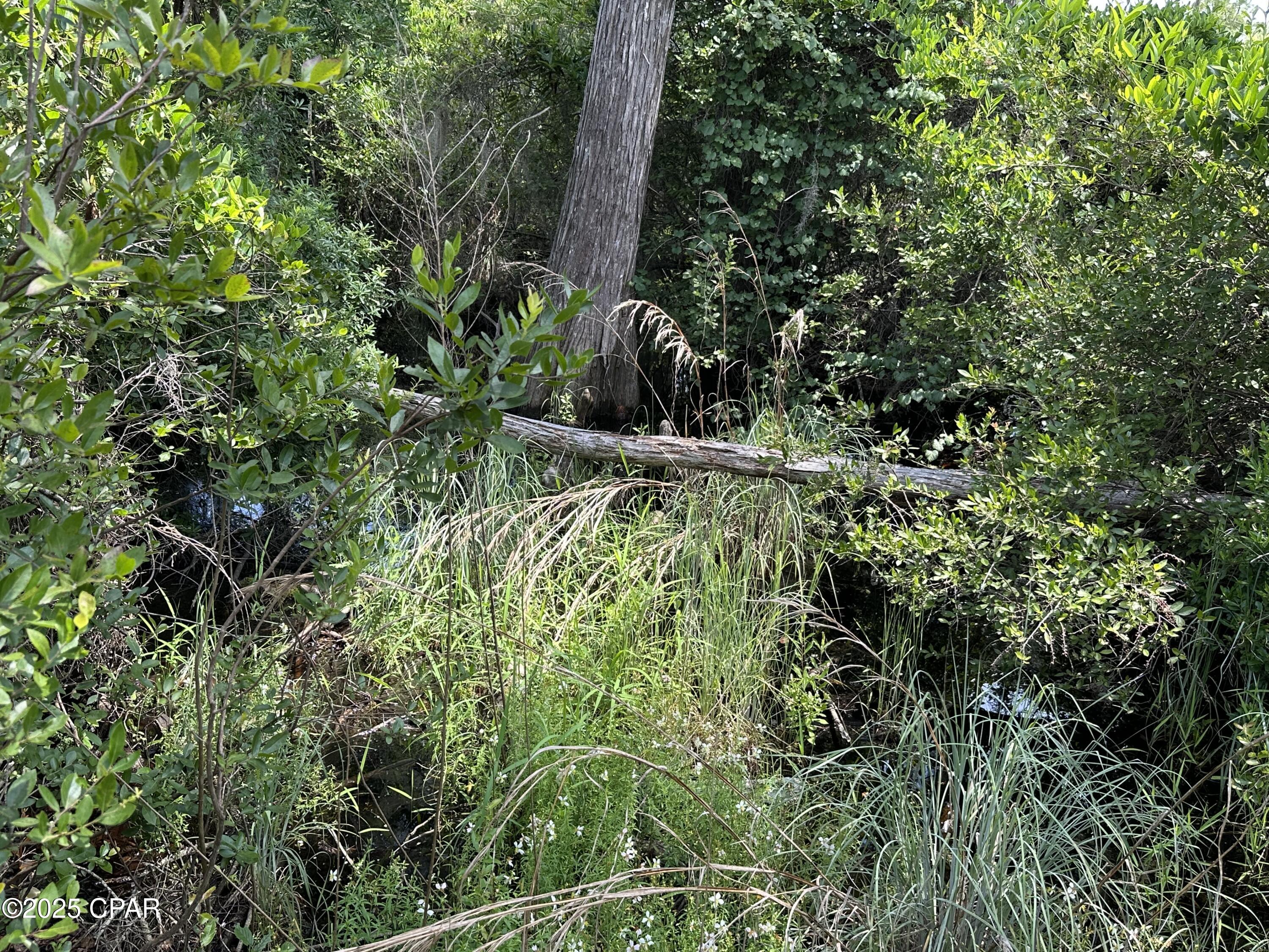3574 Ebenezer Rd Road, Vernon, Florida image 12