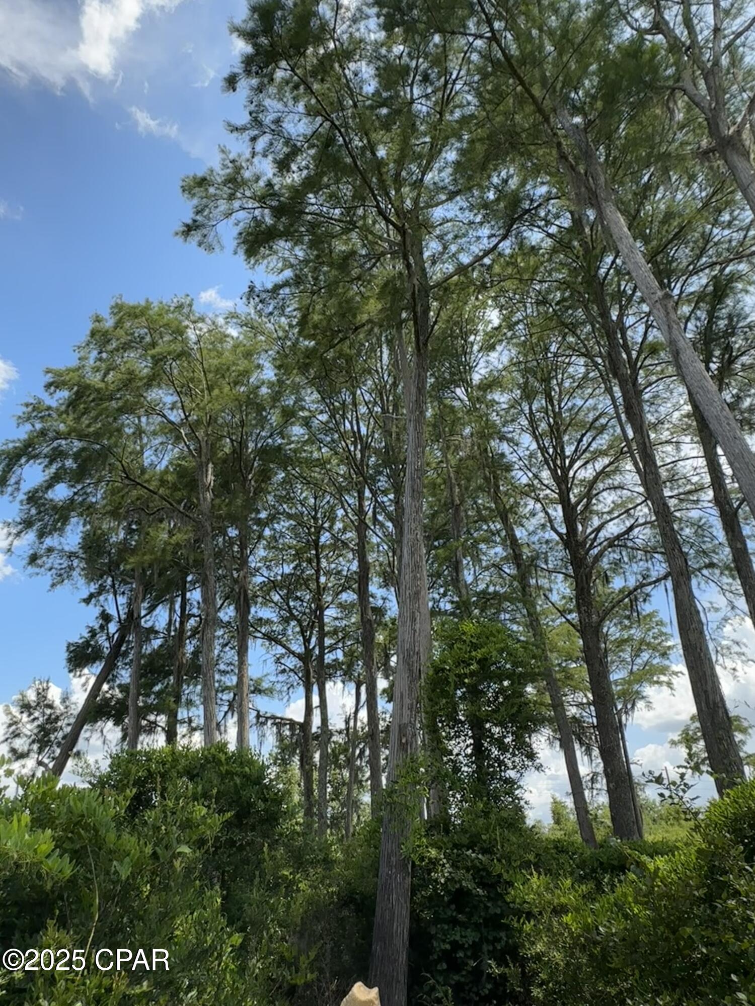 3574 Ebenezer Road, Vernon, Florida image 13