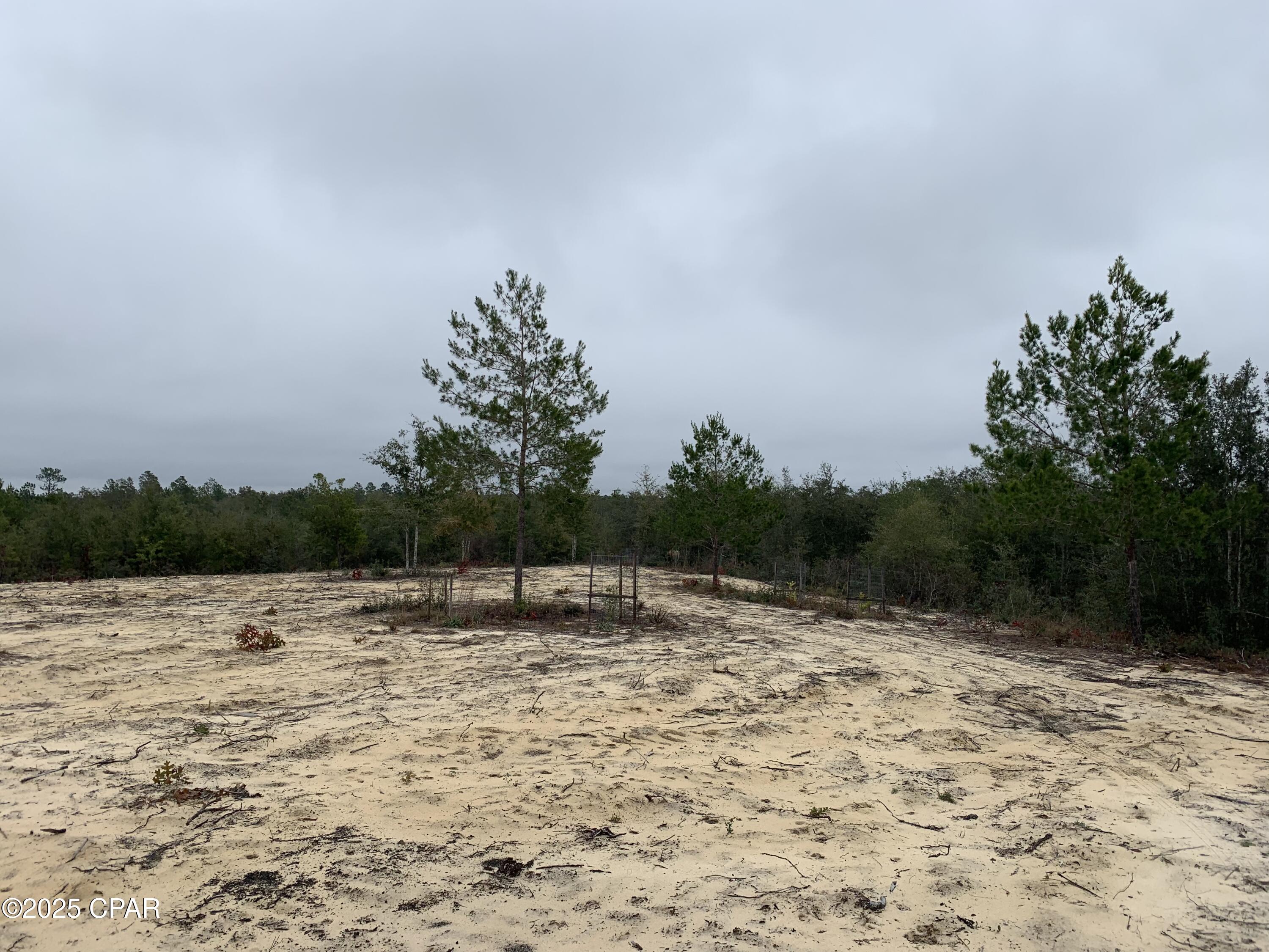 3574 Ebenezer Road, Vernon, Florida image 5