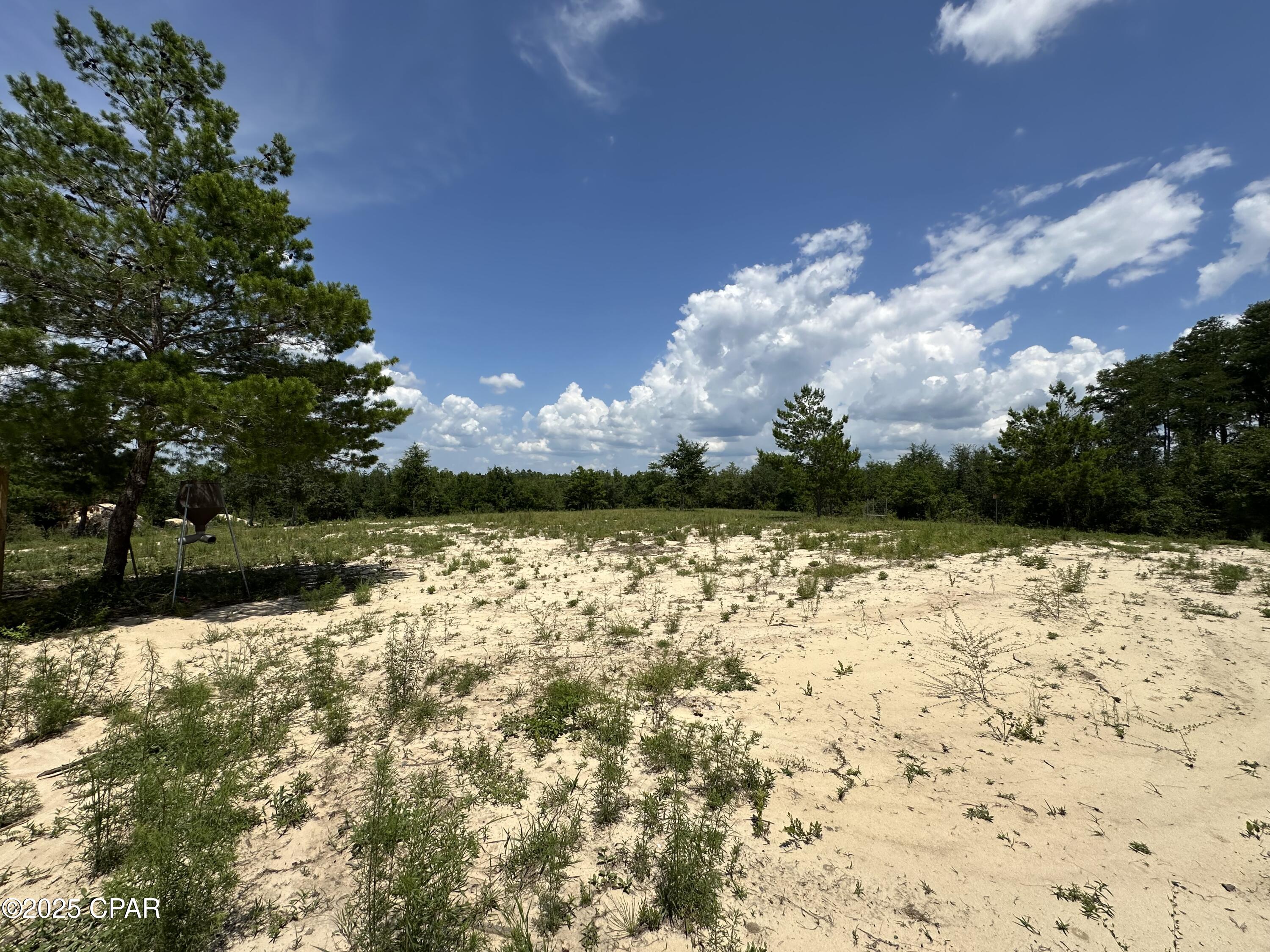 3574 Ebenezer Rd Road, Vernon, Florida image 6