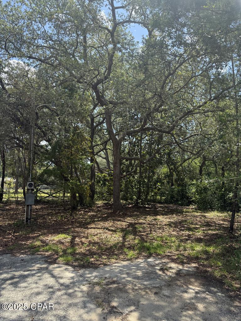 139 Connecticut Street, Lanark Village, Florida image 16
