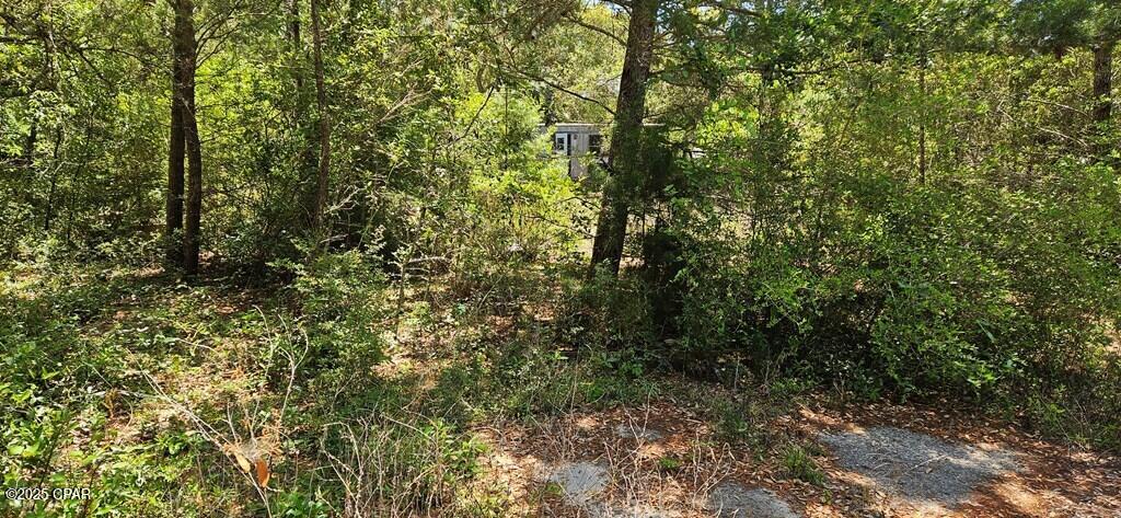 139 Connecticut Street, Lanark Village, Florida image 19