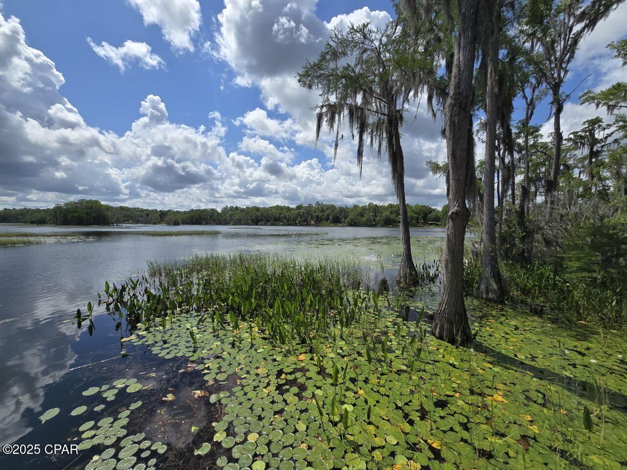 Lot 7 Caldwell Place, Chipley, Florida image 11