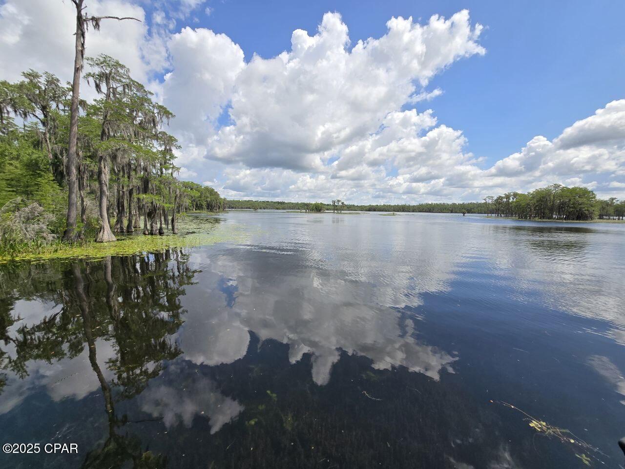 Lot 7 Caldwell Place, Chipley, Florida image 12