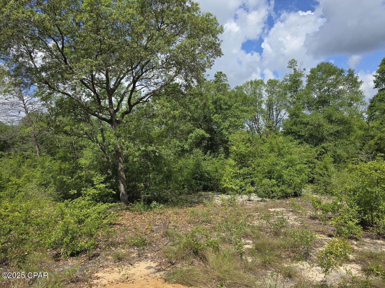 Lot 7 Caldwell Place, Chipley, Florida image 2