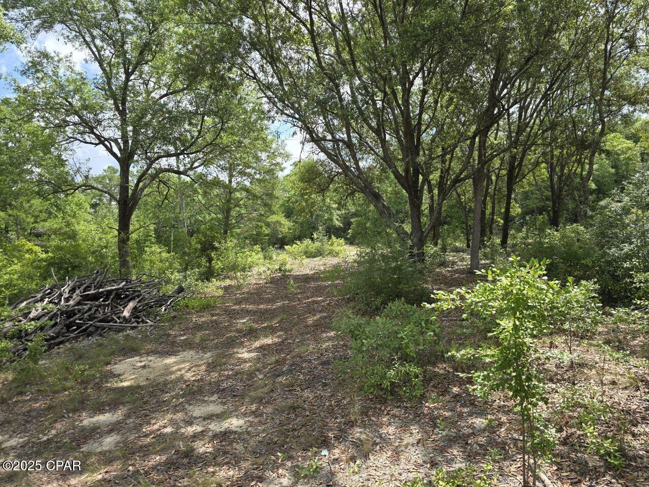 Lot 7 Caldwell Place, Chipley, Florida image 4