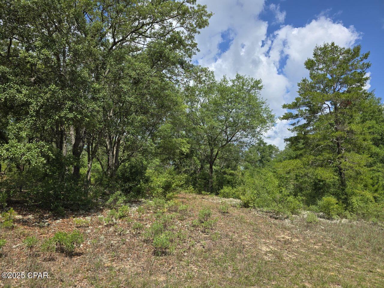 Lot 7 Caldwell Place, Chipley, Florida image 5