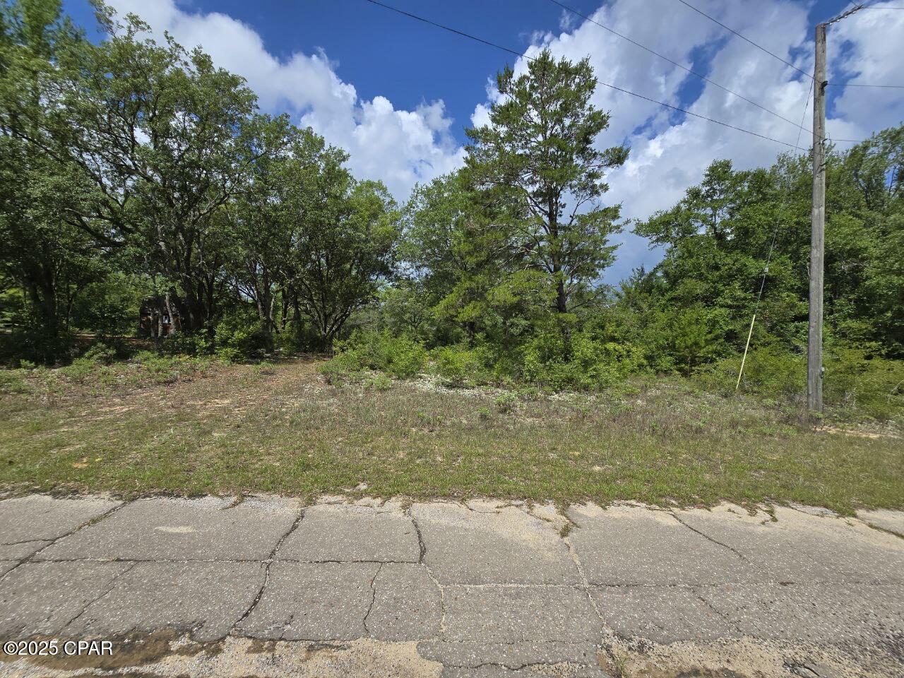 Lot 7 Caldwell Place, Chipley, Florida image 7