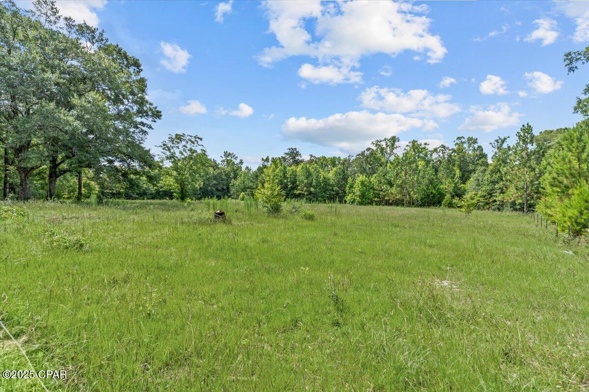 551 Spruce Road, Graceville, Florida image 26