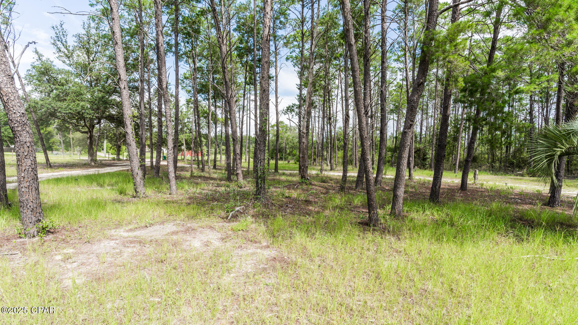 13326 Carken Road, Panama City, Florida image 16